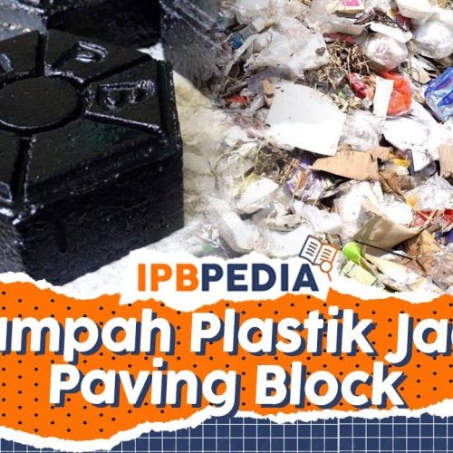 Inovasi Ramah Lingkungan Paving Block Plastik