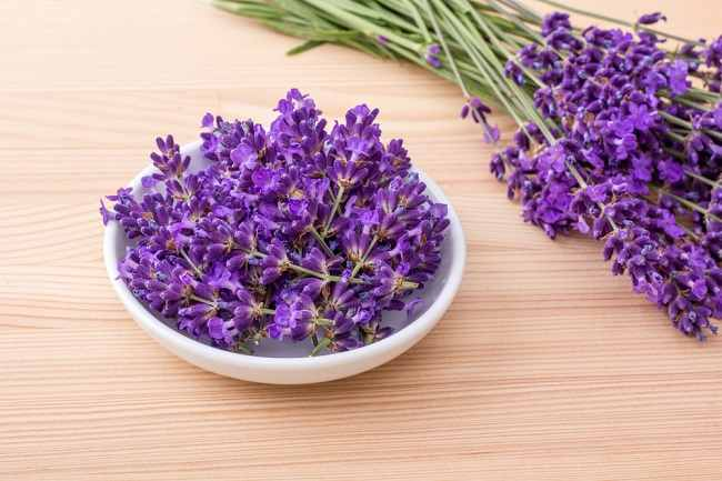 Lavender Jamu Morning Routine Gen Z Productivity 2025: Ritual Pagi Viral yang Bikin Fokus & Healing